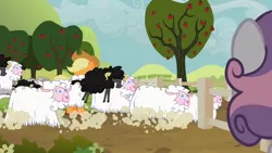 Size: 1280x720 | Tagged: safe, derpibooru import, screencap, applejack, sweetie belle, earth pony, pony, sheep, sisterhooves social, apple tree, black sheep, cloven hooves, cowboy hat, female, fence, flock, hat, male, mare, tree