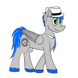 Size: 1000x1000 | Tagged: safe, artist:recordmelodie, derpibooru import, oc, oc:record melodie, unofficial characters only, pegasus, pony, 2018 community collab, derpibooru community collaboration, hat, male, simple background, smiling, solo, stallion, standing, transparent background