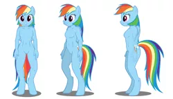 Size: 1591x913 | Tagged: anthro, artist:flash equestria photography, barbie doll anatomy, derpibooru import, female, rainbow dash, safe, show accurate anthro, simple background, solo, unguligrade anthro, white background