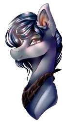 Size: 673x1221 | Tagged: safe, artist:xxmissteaxx, derpibooru import, oc, oc:monroe, unofficial characters only, pony, bust, male, portrait, simple background, solo, stallion, transparent background