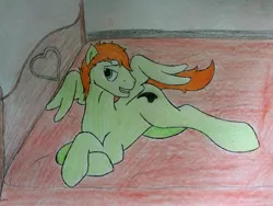 Size: 3264x2448 | Tagged: suggestive, artist:primevalbrony, derpibooru import, oc, oc:raptor claw, unofficial characters only, pegasus, pony, bed, bedroom eyes, male, solo, solo male, traditional art