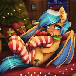 Size: 3000x3000 | Tagged: safe, artist:ritter, derpibooru import, oc, oc:bluemist, unofficial characters only, bat pony, pony, bat pony oc, christmas, clothes, cute, ear fluff, fangs, hat, holiday, looking at you, male, night, present, santa hat, socks, solo, stallion, striped socks, tree