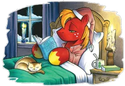 Size: 792x545 | Tagged: safe, artist:andypriceart, derpibooru import, big macintosh, cat, earth pony, pony, spoiler:comic, spoiler:comicholiday2015, bed, book, candle, christmas, hat, holiday, laying on bed, lying, male, reading, santa hat, shelf, stallion, window, winter