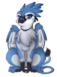 Size: 2411x3271 | Tagged: safe, artist:xchan, derpibooru import, oc, oc:lafiri, unofficial characters only, gryphon, 2018 community collab, derpibooru community collaboration, bluejay griffon, looking at you, male, simple background, sitting, solo, transparent background