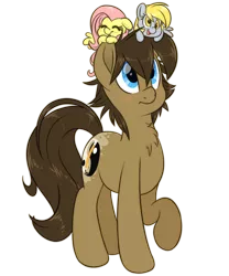 Size: 1000x1200 | Tagged: safe, artist:fluffyxai, derpibooru import, derpy hooves, ditzy doo, fluttershy, oc, oc:spirit wind, earth pony, pony, 2018 community collab, derpibooru community collaboration, chest fluff, movie accurate, plushie, simple background, transparent background