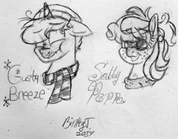 Size: 2348x1844 | Tagged: safe, artist:binkyt11, derpibooru import, oc, oc:gusty breeze, oc:sally peppa, unofficial characters only, pegasus, pony, unicorn, beanie, clothes, female, freckles, grin, hat, male, mare, monochrome, nervous, nervous grin, red nosed, scarf, scrunchy face, signature, smiling, stallion, sweater, traditional art