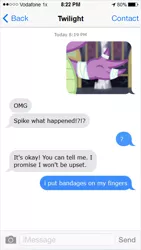 Size: 400x710 | Tagged: bandage, derpibooru import, dragon, implied injury, meme, safe, spike, text, texts from ponies, twilight sparkle