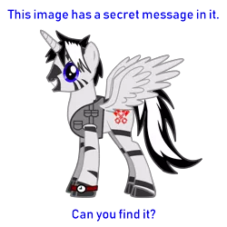 Size: 2500x2500 | Tagged: alicorn, alicorn oc, derpibooru import, hidden message, oc, oc:chaotic mind, pony creator, safe, unofficial characters only, zebra alicorn