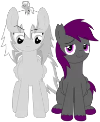 Size: 2550x3100 | Tagged: safe, artist:silver dash, derpibooru import, oc, oc:jokage, oc:silvia dash, unofficial characters only, pegasus, pony, 2018 community collab, derpibooru community collaboration, female, male, mare, pointy ponies, simple background, stallion, transparent background, unshorn fetlocks