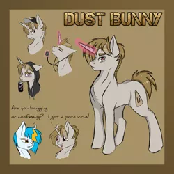 Size: 3000x3000 | Tagged: safe, artist:ilucky7, derpibooru import, oc, oc:dust bunny, oc:hotshot, unofficial characters only, pony, unicorn, headphones, high res, magic, male, reference sheet, solo focus, stallion