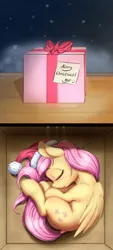 Size: 1417x3133 | Tagged: safe, artist:alcor, derpibooru import, fluttershy, pegasus, pony, :o, air holes, alcor is trying to murder us, box, cheek fluff, christmas, curled up, cute, daaaaaaaaaaaw, dock, ear fluff, eyes closed, female, folded wings, gift horse, hat, hnnng, holiday, leg fluff, mare, open mouth, pony in a box, present, santa hat, shoulder fluff, shyabetes, side, sleeping, smiley face, solo, underhoof, weapons-grade cute, wing fluff, zzz