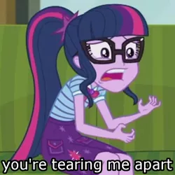 Size: 600x600 | Tagged: safe, derpibooru import, edit, edited screencap, screencap, sci-twi, twilight sparkle, equestria girls, equestria girls series, text support, cropped, geode of telekinesis, image macro, low quality, magical geodes, meme, solo, the room, you're tearing me apart lisa