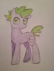 Size: 966x1288 | Tagged: safe, artist:ponime11, derpibooru import, spike, ponified, pony, ponified spike, solo, traditional art