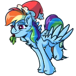 Size: 1024x1024 | Tagged: safe, artist:witchtaunter, derpibooru import, rainbow dash, pegasus, pony, chest fluff, christmas, cute, dashabetes, ear fluff, female, hat, holiday, holly, holly mistaken for mistletoe, lidded eyes, mare, mouth hold, santa hat, simple background, smiling, solo, spread wings, transparent background, wings