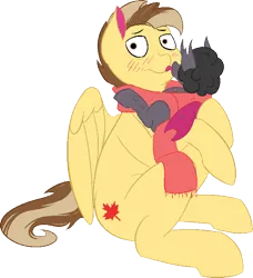 Size: 3110x3410 | Tagged: safe, artist:dadio46, derpibooru import, oc, oc:dazzling flash, oc:maple syrup, unofficial characters only, changeling, pegasus, pony, blushing, changeling oc, clothes, couple, cutie mark, duo, embarrassed, female, licking, male, mapling, oc x oc, purple changeling, scarf, shipping, size difference, straight, tongue out, two color hair, two colour hair