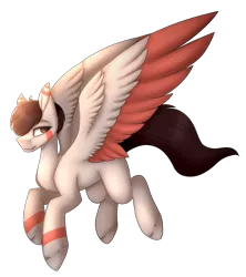 Size: 951x1069 | Tagged: safe, artist:umiimou, derpibooru import, oc, oc:jack, unofficial characters only, pegasus, pony, colored wings, male, multicolored wings, simple background, solo, stallion, transparent background