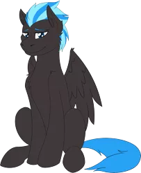 Size: 2651x3264 | Tagged: safe, artist:wcnimbus, derpibooru import, oc, oc:nimbus, unofficial characters only, pegasus, pony, 2018 community collab, derpibooru community collaboration, flat colors, male, simple background, sitting, stallion, transparent background