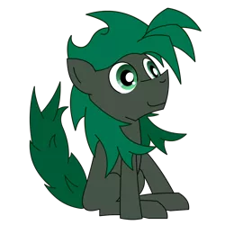 Size: 1600x1600 | Tagged: safe, artist:minus, derpibooru import, oc, oc:minus, unofficial characters only, earth pony, pony, 2018 community collab, derpibooru community collaboration, colored, digital art, green eyes, happy, male, simple background, sitting, smiling, solo, transparent background, vector