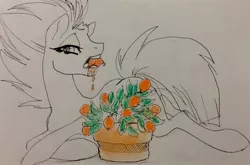 Size: 1280x844 | Tagged: safe, artist:candasaurus, derpibooru import, tempest shadow, pony, my little pony: the movie, eating, herbivore, horses doing horse things, kumquat, messy eating, solo, traditional art