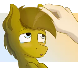 Size: 4096x3592 | Tagged: safe, artist:twitchy rudder, derpibooru import, oc, oc:twitchy rudder, unofficial characters only, earth pony, pony, abstract background, blushing, cute, disembodied hand, hand, male, petting, rubbing, solo, teary eyes