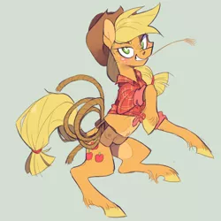 Size: 1050x1050 | Tagged: safe, artist:xenon, derpibooru import, applejack, earth pony, pony, clothes, cowboy hat, female, green background, hat, hay, lasso, mare, pale belly, plaid shirt, rope, simple background, solo, stetson, straw in mouth, toolbelt, unshorn fetlocks