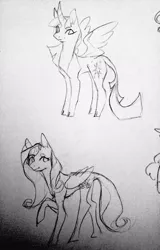 Size: 655x1024 | Tagged: safe, artist:bebbies, derpibooru import, fluttershy, twilight sparkle, twilight sparkle (alicorn), alicorn, pegasus, pony, black and white, cloven hooves, curved horn, duo, female, grayscale, leonine tail, mare, monochrome, raised hoof, sketch, traditional art