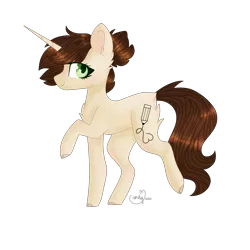 Size: 2000x2000 | Tagged: safe, artist:candycrusher3000, derpibooru import, oc, oc:shay, unofficial characters only, pony, simple background, solo, transparent background