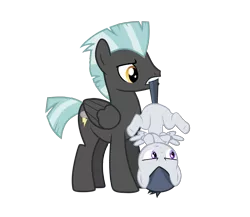 Size: 4419x3827 | Tagged: safe, artist:lunaticdawn, derpibooru import, rumble, thunderlane, pegasus, pony, marks and recreation, biting, brothers, colt, featureless crotch, male, simple background, stallion, tail, tail bite, tail pull, transparent background, upside down, vector