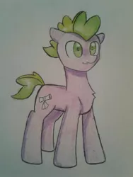 Size: 1200x1600 | Tagged: safe, artist:ponime11, derpibooru import, spike, ponified, pony, ponified spike, solo, traditional art