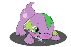 Size: 1024x675 | Tagged: safe, artist:emositecc, derpibooru import, spike, spike the regular dog, dog, equestria girls, baby, baby spike, cute, licking, puppy, simple background, solo, spikabetes, tongue out, transparent background