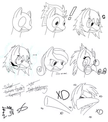 Size: 1024x1152 | Tagged: ..., angry, artist:silver dash, bust, classical hippogriff, cross-popping veins, dab, derpibooru import, dizzy, exclamation point, expressions, face, female, freckles, grayscale, hippogriff, male, mare, monochrome, oc, oc:deli, oc:silver dash, oc:silvia dash, oc:spectral bolt, oc:vivian iolani, partial color, safe, shocked, simple background, sketch, stallion, unofficial characters only, white background, xd