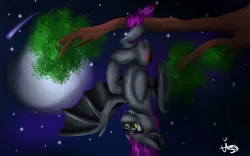 Size: 1280x800 | Tagged: safe, artist:lordofthefeathers, derpibooru import, oc, oc:scarlet, unofficial characters only, bat pony, bat pony oc, comet, full moon, hanging, hanging upside down, moon, night, solo