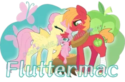 Size: 903x594 | Tagged: safe, artist:rosiepie15, derpibooru import, big macintosh, fluttershy, oc, oc:daisy, female, fluttermac, male, offspring, parent:big macintosh, parent:fluttershy, parents:fluttermac, shipping, straight, straw in mouth