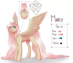 Size: 2300x2000 | Tagged: safe, artist:maria-fly, derpibooru import, oc, oc:mary, unofficial characters only, pegasus, pony, reference sheet, tattoo