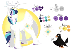 Size: 1024x690 | Tagged: safe, artist:clay-bae, derpibooru import, oc, oc:pure heart, unofficial characters only, bird, classical unicorn, raven (bird), unicorn, cloven hooves, leonine tail, offspring, parent:princess cadance, parent:shining armor, parents:shiningcadance, reference sheet, simple background, tail feathers, transparent background, unshorn fetlocks