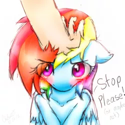 Size: 1200x1200 | Tagged: artist:chikiz65, blushing, colored, cute, derpibooru import, hand, petting, rainbow dash, safe, shading, signature, simple background, speech, tsunderainbow, tsundere, white background