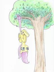 Size: 600x800 | Tagged: safe, artist:astevenamedwolf, derpibooru import, fluttershy, pegasus, pony, folded wings, hanging, hanging upside down, hooves to the chest, image, implied flutterbat, png, prehensile tail, silly, silly pony, solo, tail, tail pull, traditional art, tree, tree branch, upside down