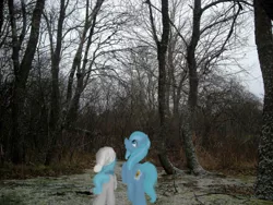 Size: 1024x768 | Tagged: artist:elisdoominika, derpibooru import, forest, hat, irl, oc, oc:sweet elis, oc:thinker blue, photo, ponies in real life, safe, snow, unofficial characters only, walking, winter