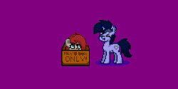 Size: 600x300 | Tagged: safe, alternate version, artist:kimjoman, derpibooru import, oc, oc:ponepony, oc:purple flix, unofficial characters only, earth pony, pony, unicorn, pony town, :t, angry, animated, bouncing, box, cute, eyes closed, female, male, mare, pony in a box, purple background, simple background, stallion