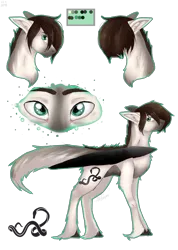 Size: 3905x5500 | Tagged: safe, artist:lastaimin, derpibooru import, oc, unofficial characters only, pegasus, pony, colored wings, eye, eyes, high res, male, reference sheet, simple background, solo, stallion, transparent background