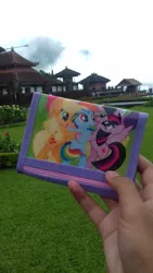 Size: 1836x3264 | Tagged: alicorn, applejack, bali, derpibooru import, fluttershy, hand, indonesia, indonesian, irl, photo, pinkie pie, rainbow dash, rarity, safe, scenery, stock vector, temple, twilight sparkle, twilight sparkle (alicorn), vacation, wallet