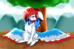 Size: 1024x681 | Tagged: safe, artist:anasflow, derpibooru import, oc, oc:lovely delirious, unofficial characters only, pegasus, pony, chest fluff, choker, colored wings, eye scar, female, mare, multicolored wings, scar, sitting, solo, spiked choker, tree