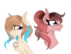 Size: 1400x1050 | Tagged: safe, artist:owocrystalcatowo, derpibooru import, oc, oc:ocean drop, unofficial characters only, pegasus, pony, bust, female, mare, portrait, simple background, white background