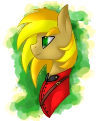 Size: 400x500 | Tagged: safe, artist:blocksy-art, derpibooru import, oc, unofficial characters only, pony, bust, clothes, male, portrait, royal canadian mounted police, solo, stallion, uniform