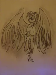 Size: 1934x2579 | Tagged: safe, artist:blizzcolt, derpibooru import, oc, oc:nimble wing, unofficial characters only, pegasus, pony, flying, jewelry, large wings, looking down, male, necklace, sketch, solo, spread wings, wings