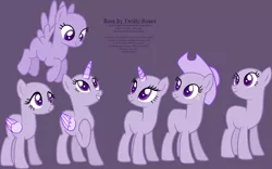 Size: 2145x1335 | Tagged: safe, artist:shiibases, derpibooru import, oc, unofficial characters only, alicorn, earth pony, pegasus, pony, unicorn, alicorn oc, bald, base, earth pony oc, eyelashes, female, flying, grin, group, hat, hoof on chest, horn, image, looking back, looking up, mare, pegasus oc, png, purple background, raised hoof, simple background, smiling, solo, unicorn oc, wings