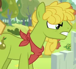 Size: 1000x912 | Tagged: safe, derpibooru import, screencap, cinnamon pear, cornice pear, unnamed pony, earth pony, pony, the perfect pear, angry, background pony, bandana, cropped, feud, food, male, neckerchief, pear, pear family, pear family member, pear tree, shiny concorde, solo focus, stallion
