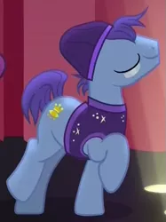 Size: 413x552 | Tagged: safe, derpibooru import, screencap, smooth vibes, earth pony, pony, hard to say anything, backup dancers, battle for sugar belle, beanie, clothes, cropped, hat, male, shirt, solo, stallion