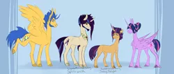 Size: 3000x1278 | Tagged: safe, artist:slapdatpig, derpibooru import, flash sentry, twilight sparkle, twilight sparkle (alicorn), oc, oc:spiderwick, oc:sunny delight, alicorn, unicorn, alternate hairstyle, blank flank, cloven hooves, colt, ethereal mane, female, filly, flashlight, hair bun, male, offspring, parent:flash sentry, parent:twilight sparkle, parents:flashlight, shipping, starry mane, straight, unshorn fetlocks