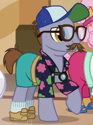 Size: 288x388 | Tagged: safe, derpibooru import, screencap, butterscotch sweets, country mile, pony, viva las pegasus, camera, cap, clothes, cropped, facial hair, glasses, hat, moustache, shoes